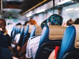 Eastern Front Theatre's artistic director Kat McCormack will be the unofficial tour guide aboard the air-conditioned 56-passenger bus taking audiences from Dartmouth to Parrsboro. Photo by Annie Spratt on Unsplash.